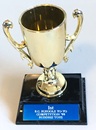 Award trophy