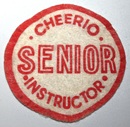Senior Instructor